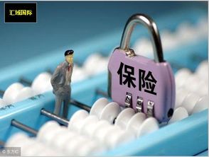 如何專業申請保險公估備案